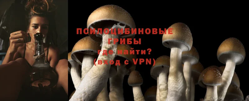 mega как войти  Морозовск  Галлюциногенные грибы MAGIC MUSHROOMS 